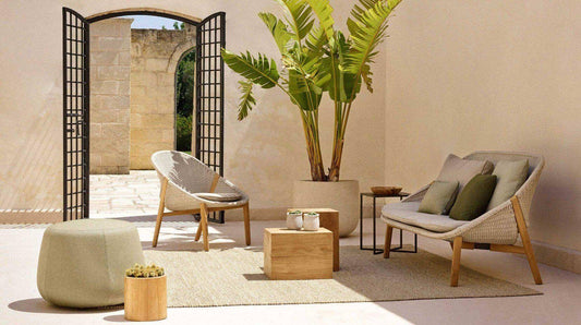 A Sunshine Story: Elio by Tribu