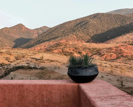 ATLANTIS Organic Pot