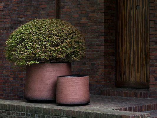 HAVANA Pot