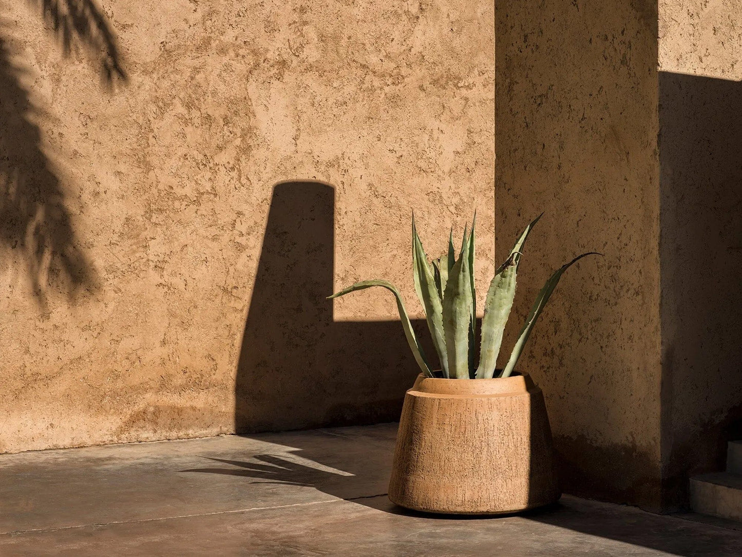 NAGORI Planters Domani