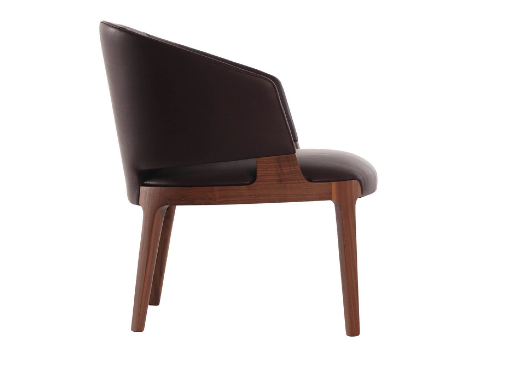 Velis Lounge Tub Chair in Walnut Indoor Furniture Potocco 
