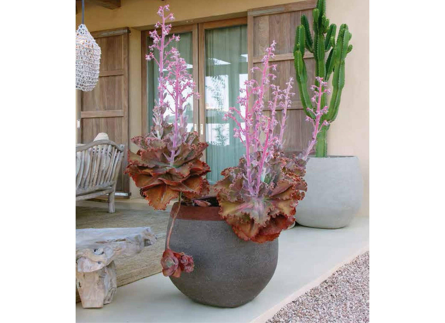 OD - Outdoor Furniture