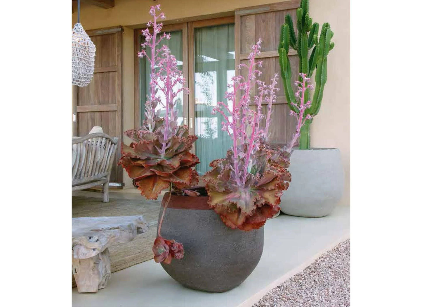 OD - Outdoor Furniture