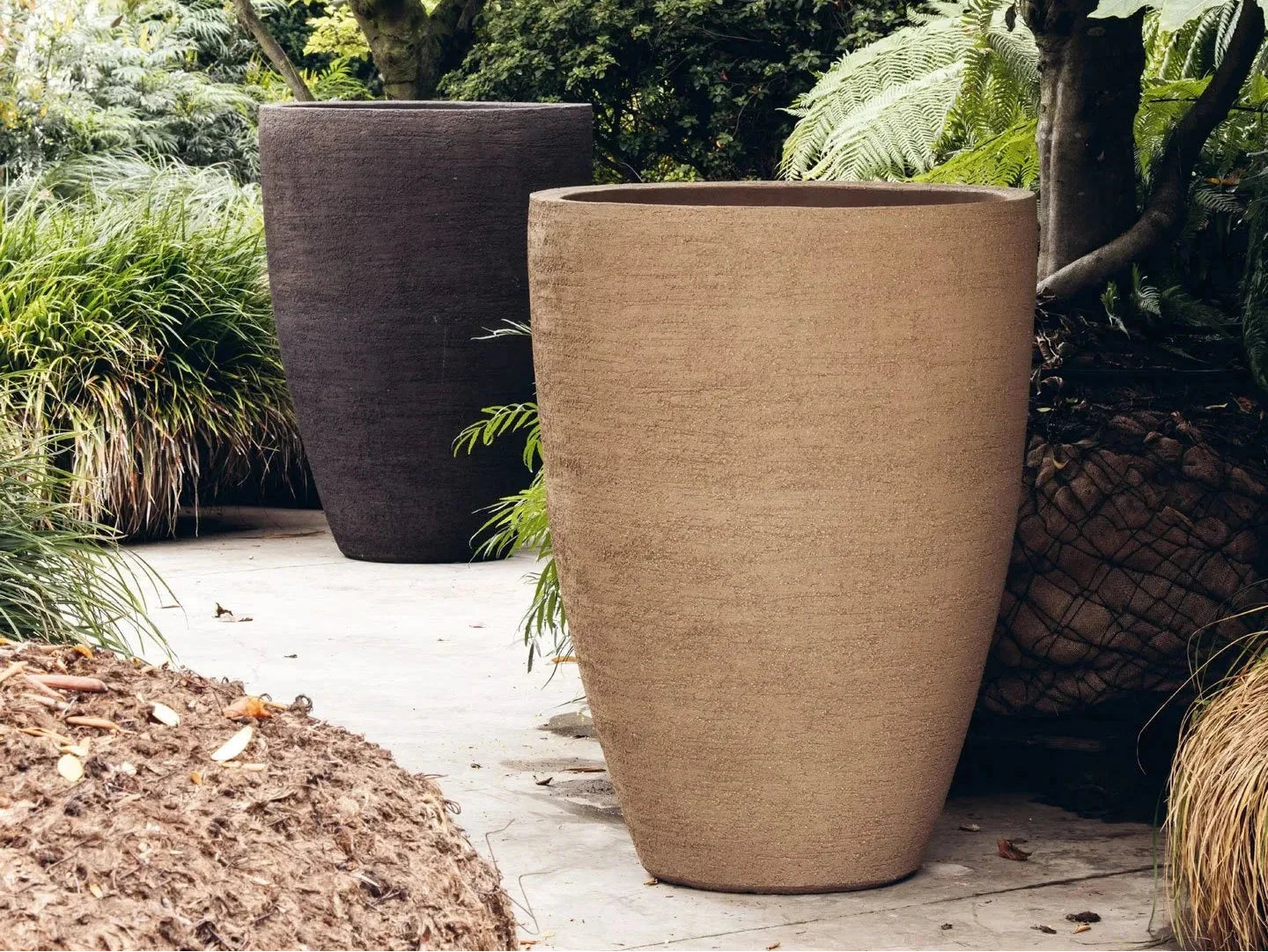 BERGEN Planters Domani 