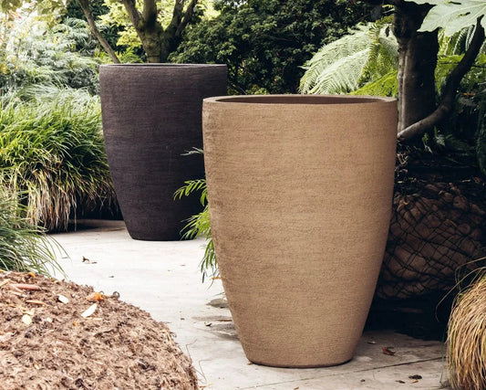 BERGEN Planters Domani 
