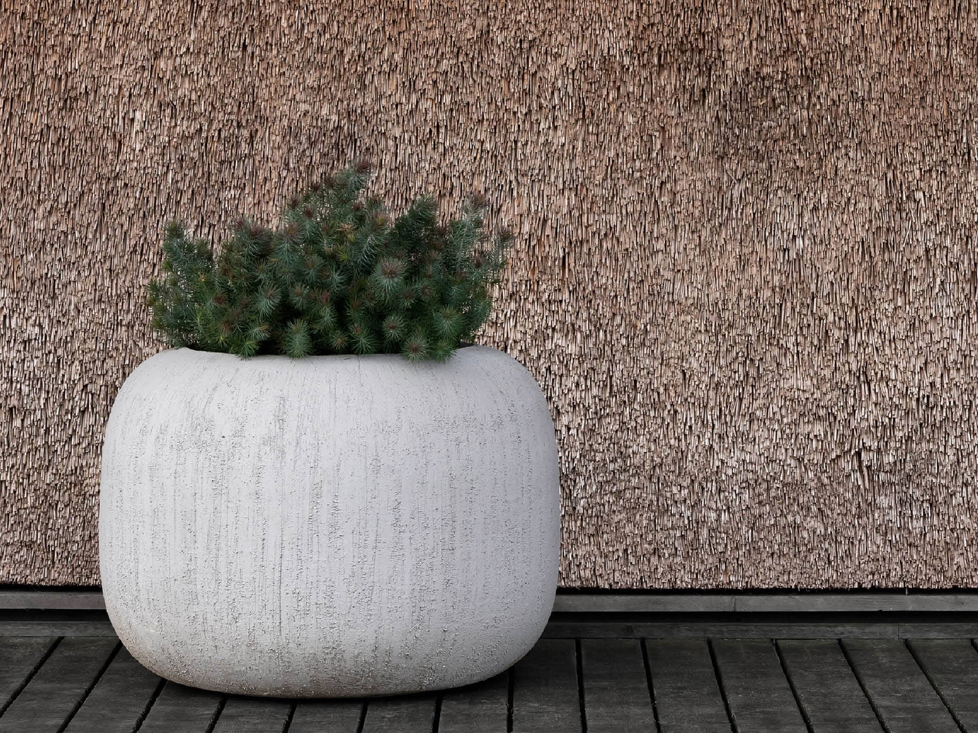 MELIDES Pots and planters Domani 