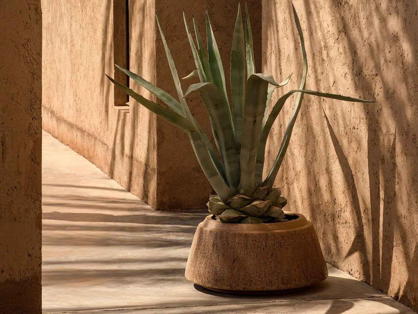 NAGORI Planters Domani 