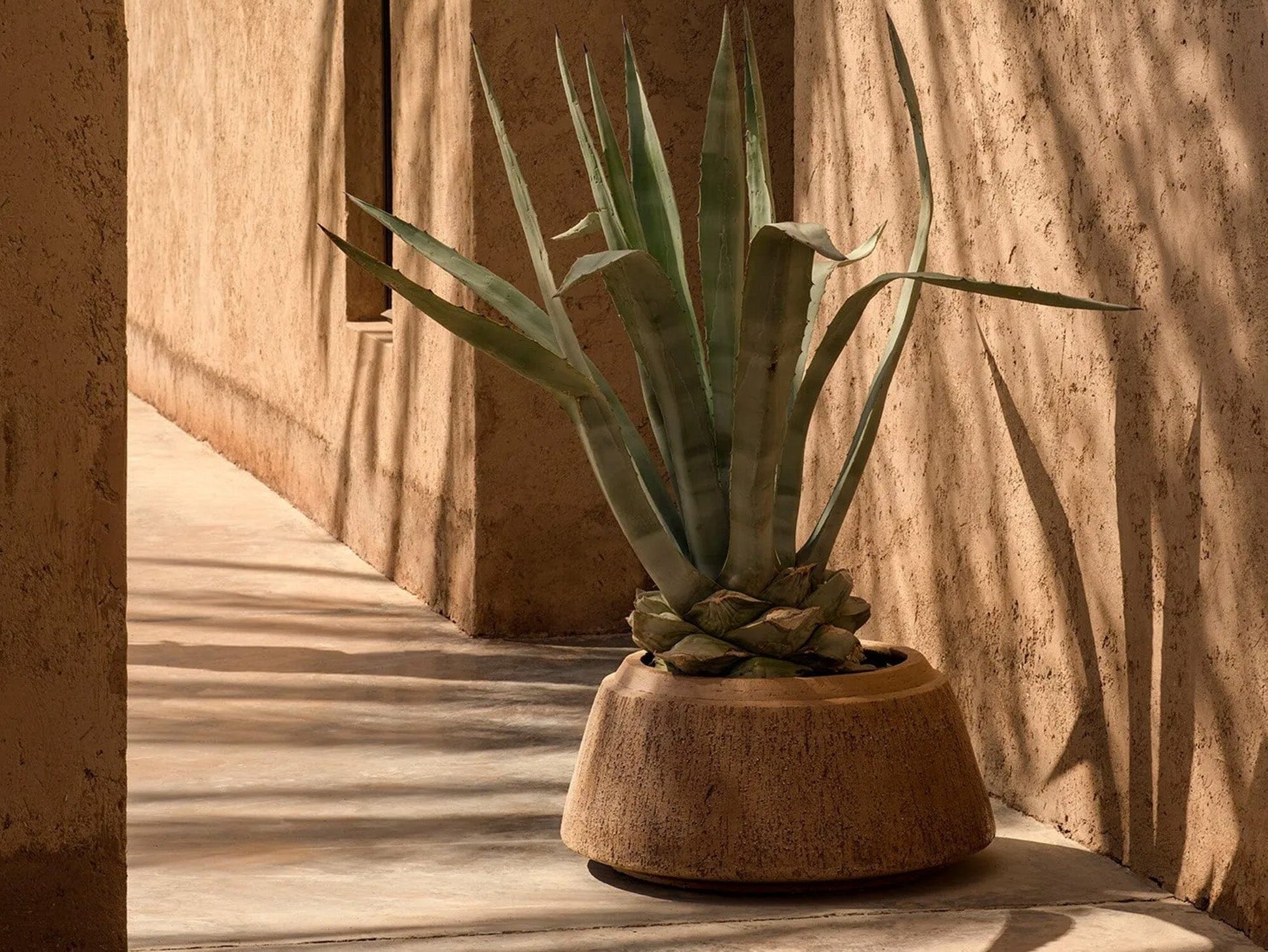 NAGORI Planters Domani 