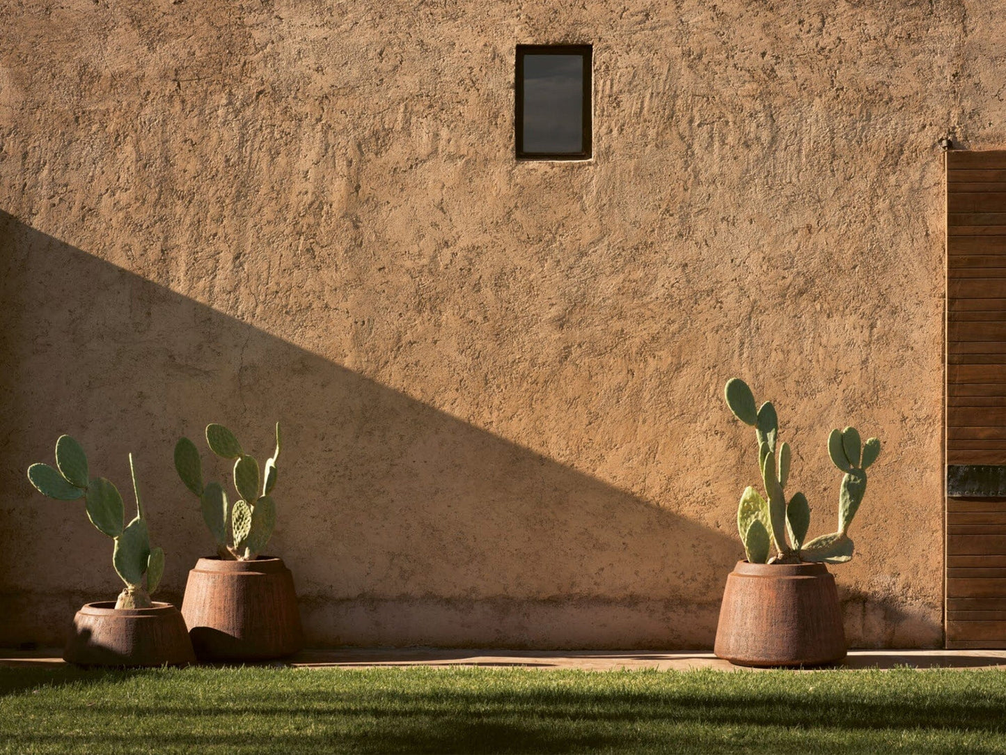 NAGORI Planters Domani 