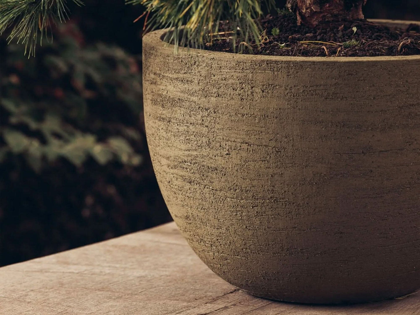 TEXEL Planters Domani 