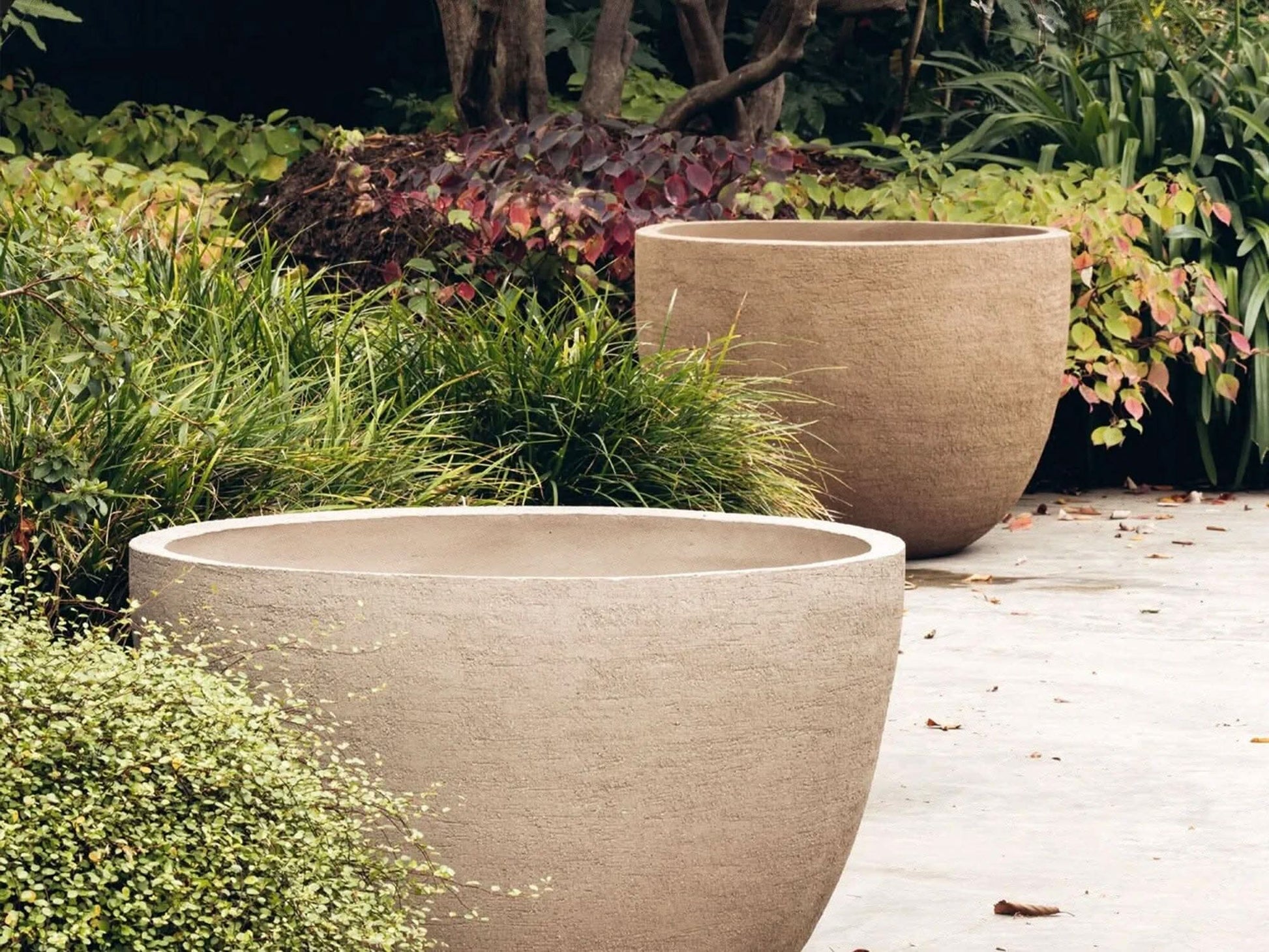 TEXEL Planters Domani 