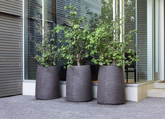 CK - Outdoor Furniture